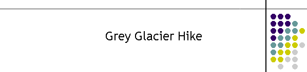 Grey Glacier Hike